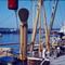 Galveston 1961/1962 MS Lüneburg