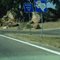 HWY 29 Roadside Park sign
