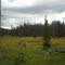 Beaver Ponds Trail