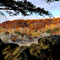 River Autumn - Shadow & Light