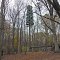 Fake Tree in the Woods, Montgomery County, MD