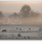 Morning's first light - 200710LJW