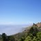 FOGGY PACIFIC HWY 1