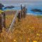 Down by the Sea Ranch