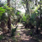 Bridge along trail