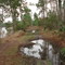 Trail To Lost Lake