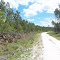 Winding Florida backcounty roads.