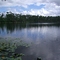 Lake Crowell