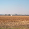 Bethany in Autumn