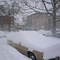 Winter in Cambridge 12.02.06 011