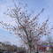 April 2006 003