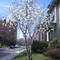 April 2006 027