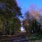 Blue Sky in Autumn