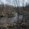 Pigeon Creek