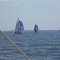 Racing at OYC