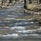 stream that runs through Cherokee ... and where the ducks live