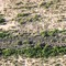 Playas Siding foundations, El Paso and Southwestern railroad