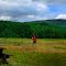  Maine Cello walk
