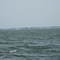 looking at the northwest tip of Cat Island sailing from Long Beach, MS