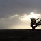 erie looking scene, post Katrina, Scenic Dr, Pass Christain Miss (12-26-2011)