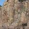 Kite Trail_Forty Foot Hole_04-06-2008_p001