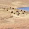 Flying over the Wildlife Refuge