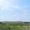 Fields