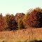 fall pics 2
