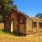 Abandoned homestead