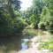 Tickfaw River @ Hwy 38 North View