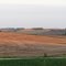Waiting Fields