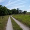 Road To Pasture