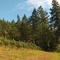 Helvetia Winery Vineyard