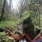 A Shinto or Buddhist shrine in the deep woods of Forest Park