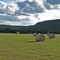 Highway 4 hay bales