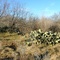 West of Dallas, Texas