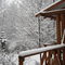 December 2008 in Graham, WA.