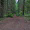 Old Trail