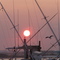 Hampton Bays