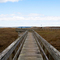 Southamptoon Boardwalk