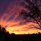 Golden Sunset, Johnston Co.