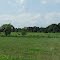 a field, Taken from the Road
