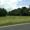Field