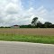 Field and Barn