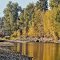 Bitterroot River - Hamilton MT