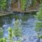 Bend in the Sycan