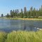 Spring meets marsh