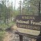 Head of the River campground