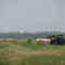 Hay field in August (1)