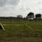 If you buy property next to an airforce base, do you have a right to complain about the noise?